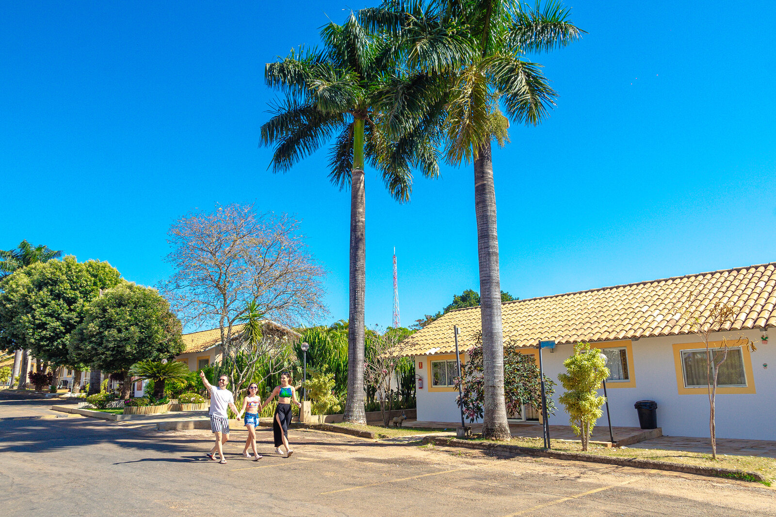 Área externa com chalés e palmeiras — diRoma Resort em Caldas Novas Área externa com chalés e palmeiras — diRoma Resort em Caldas Novas